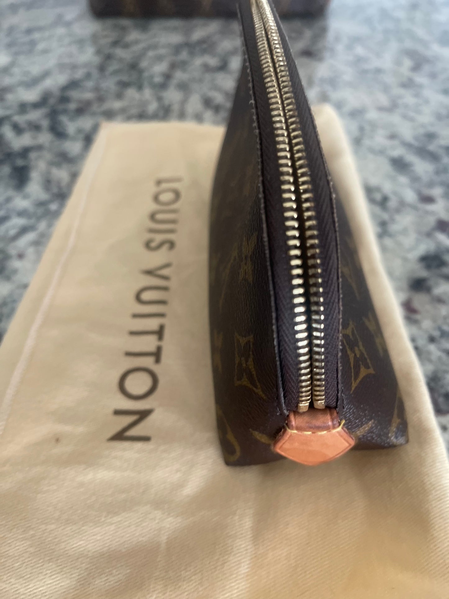 Louis Vuitton Makeup Bag
