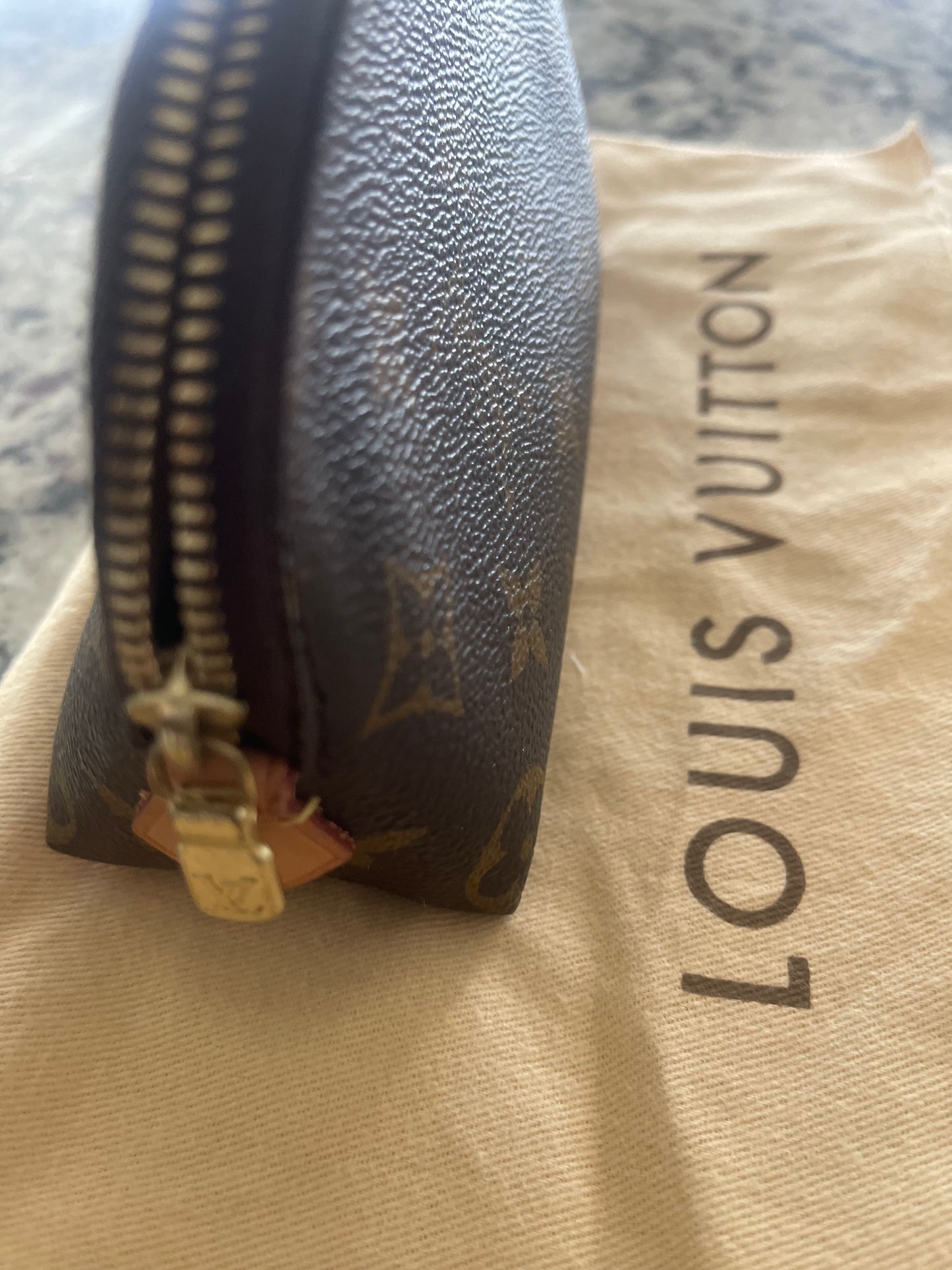 Louis Vuitton Makeup Bag
