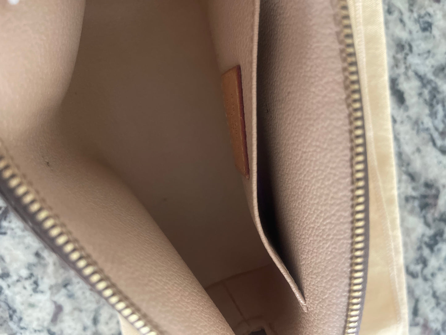 Louis Vuitton Makeup Bag