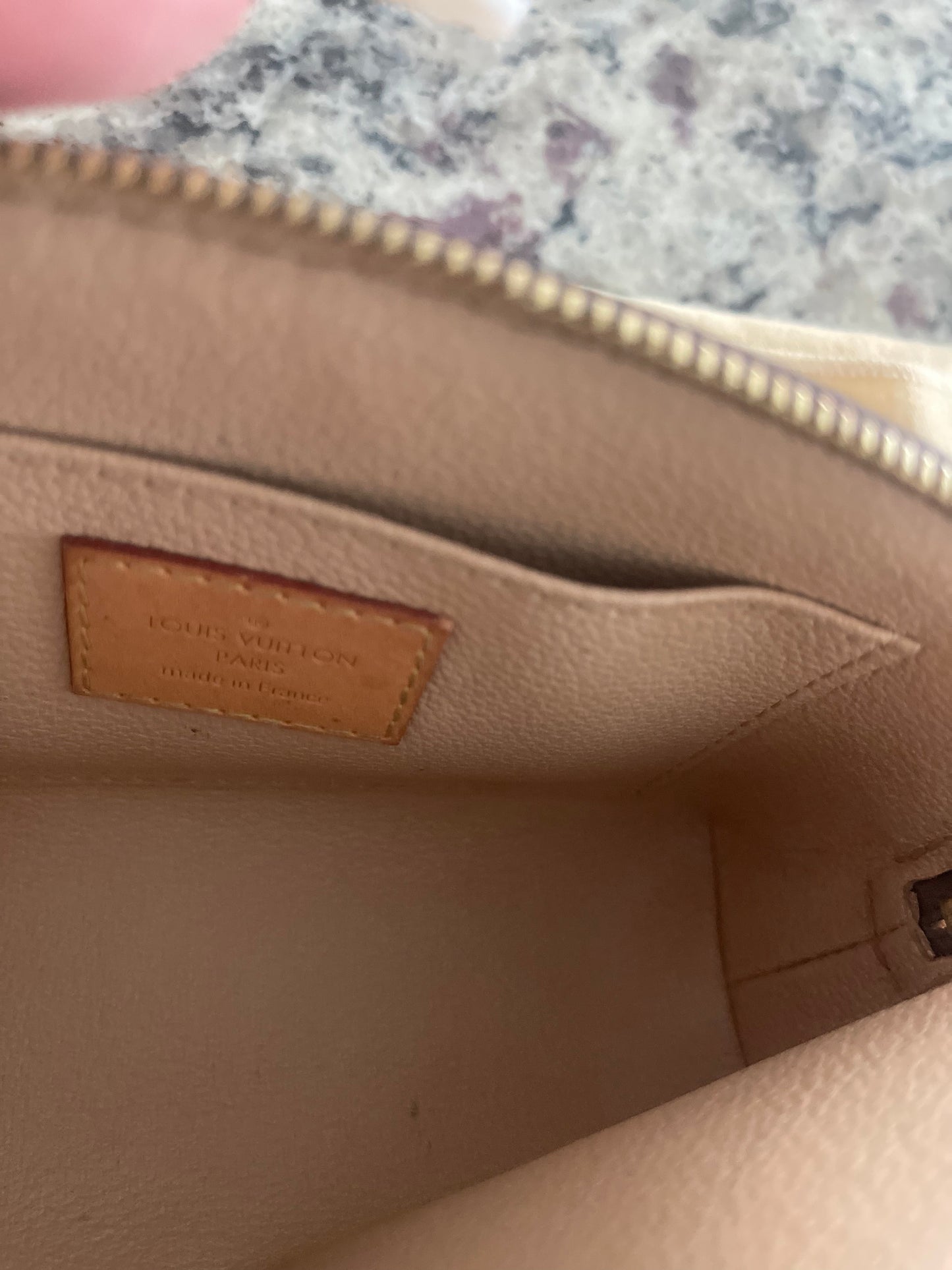 Louis Vuitton Makeup Bag