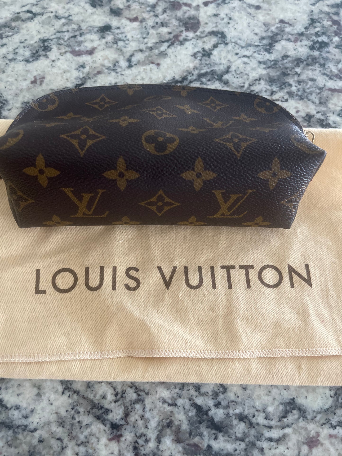 Louis Vuitton Makeup Bag