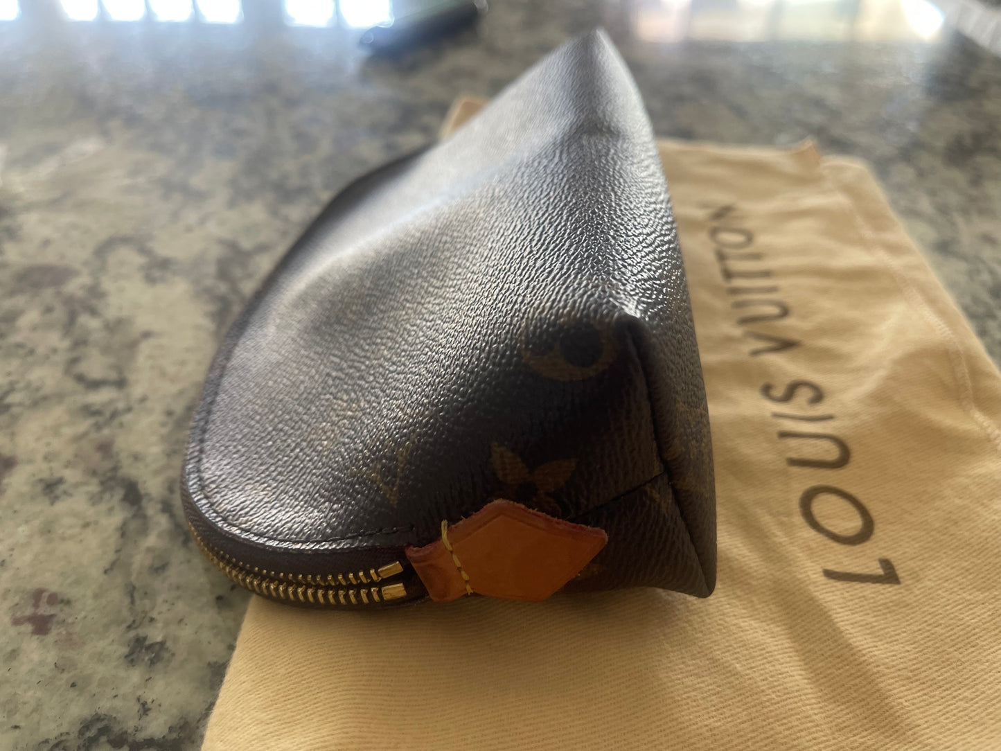 Louis Vuitton Makeup Bag