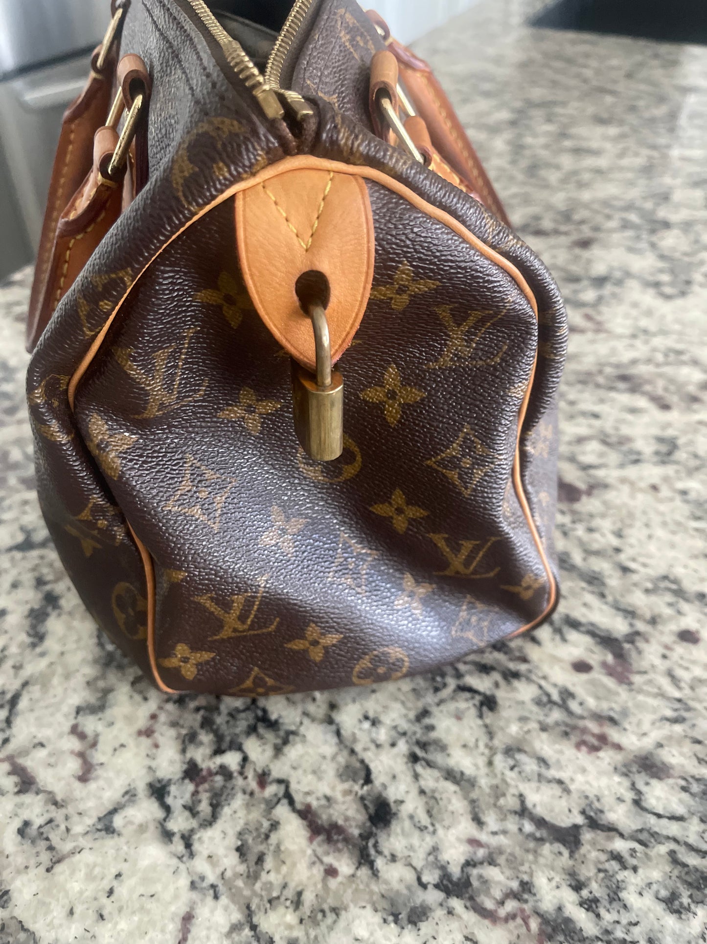 Louis Vuitton Speedy Bag