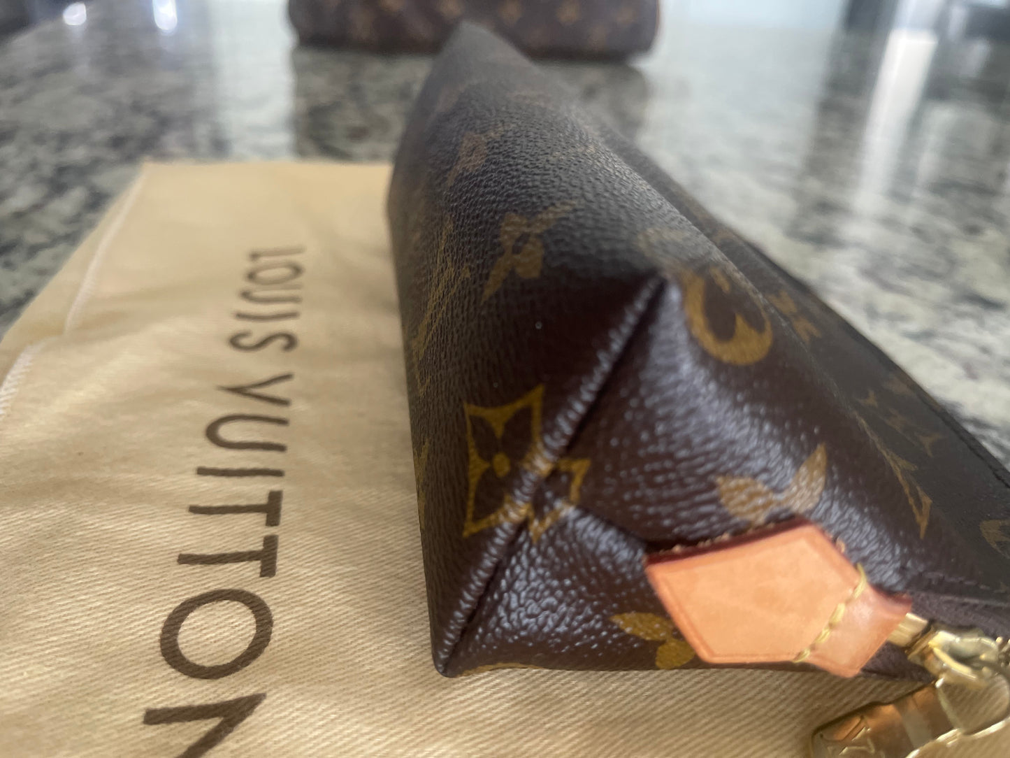 Louis Vuitton Makeup Bag