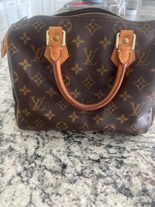 Louis Vuitton Speedy Bag