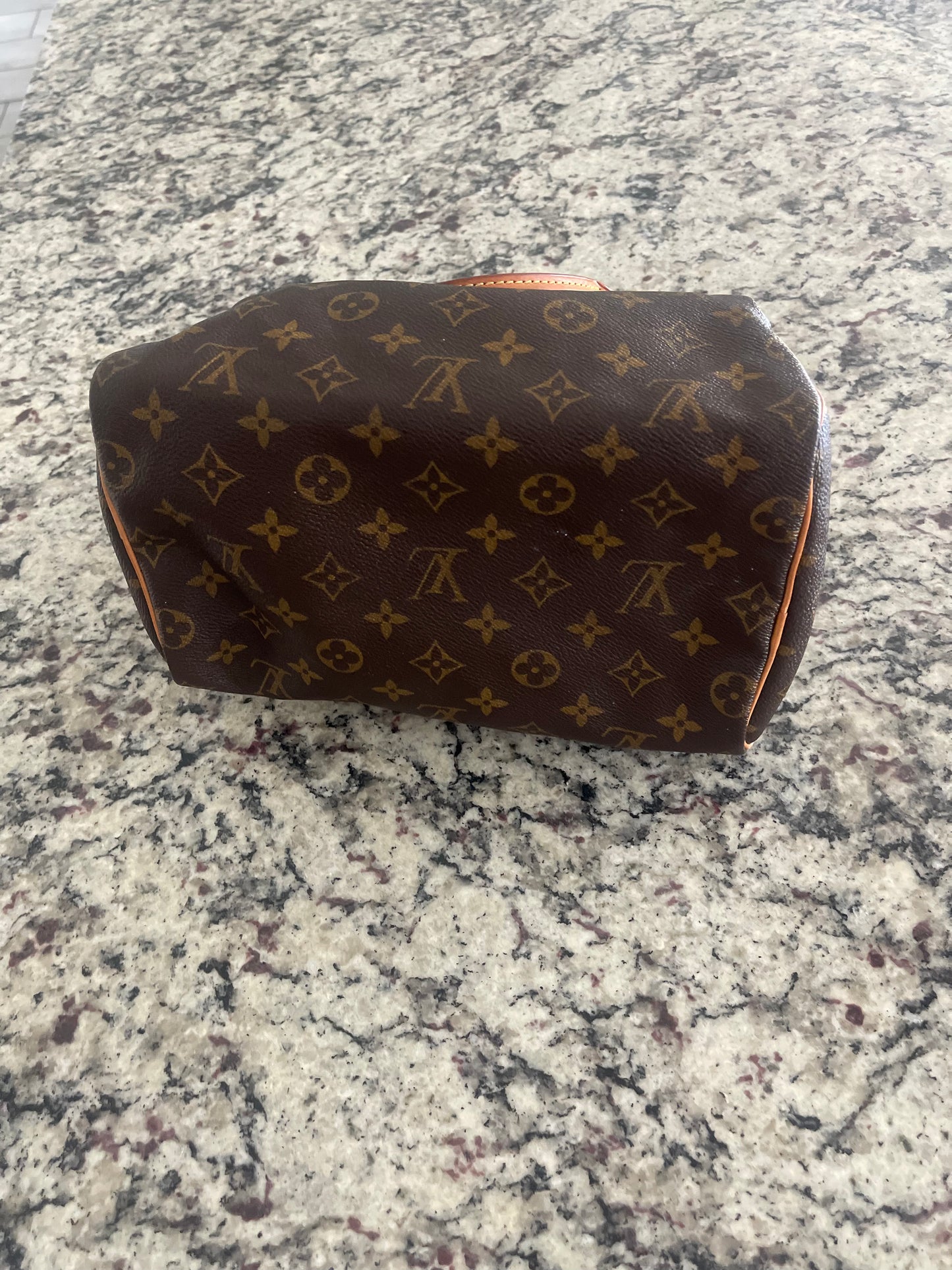 Louis Vuitton Speedy Bag