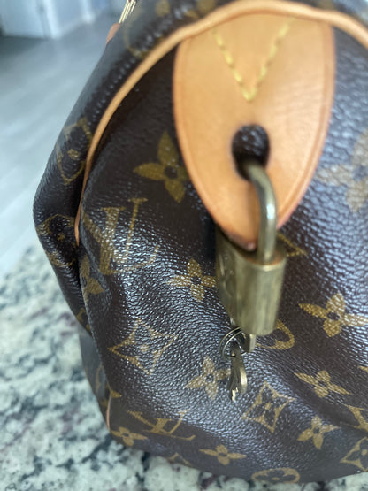 Louis Vuitton Speedy Bag